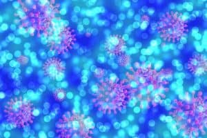 Covid Coronavirus Bokeh Contact